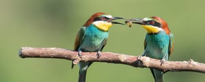 Blog_Sharing_Header
