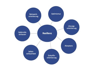 Resilienz-Säulen