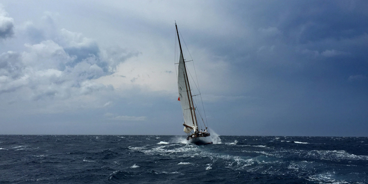 Organisationale Resilienz